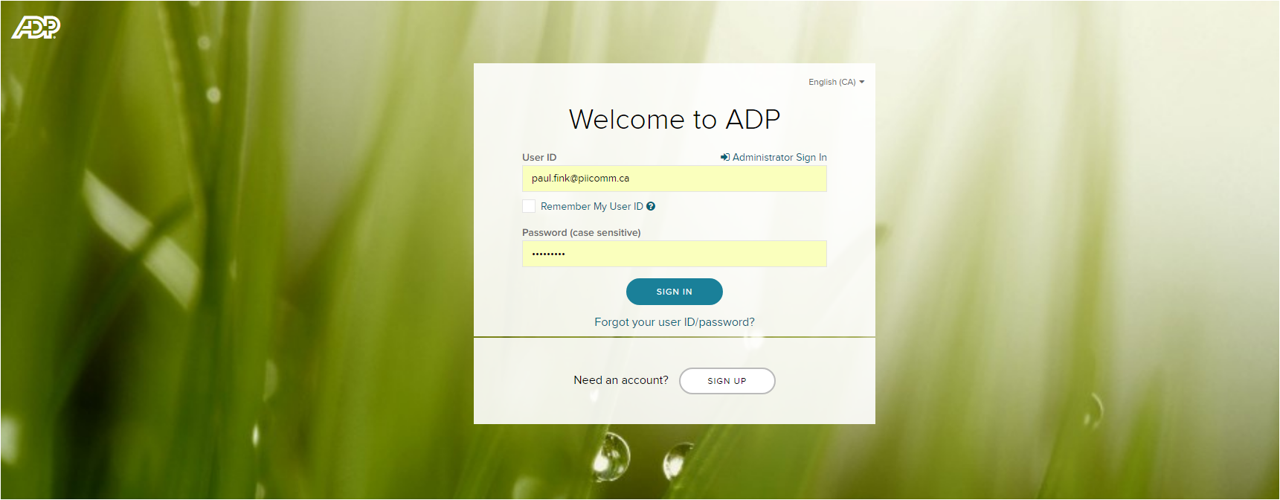 Take The Human Resources Quiz To Assess Your Knowledge